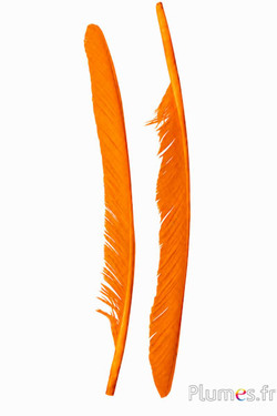 Zwaan - 35-40 cm - orange